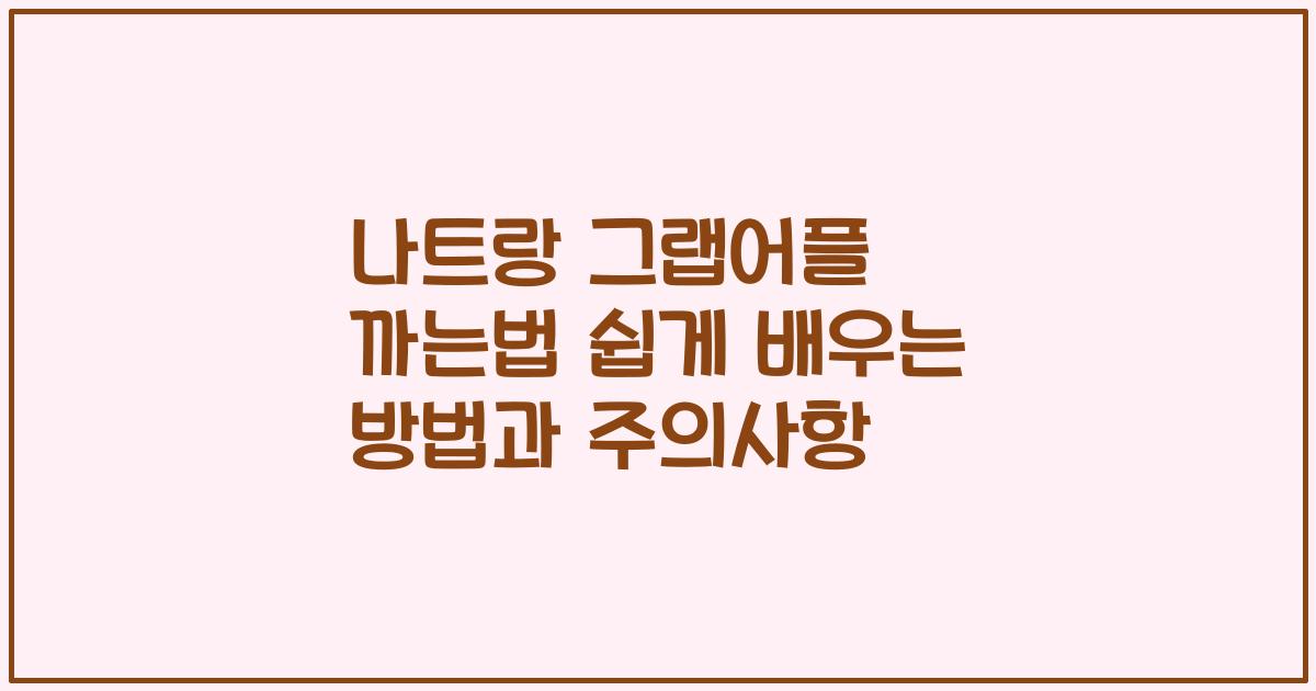 나트랑 그랩어플 까는법 쉽게 배우는 방법과 주의사항
